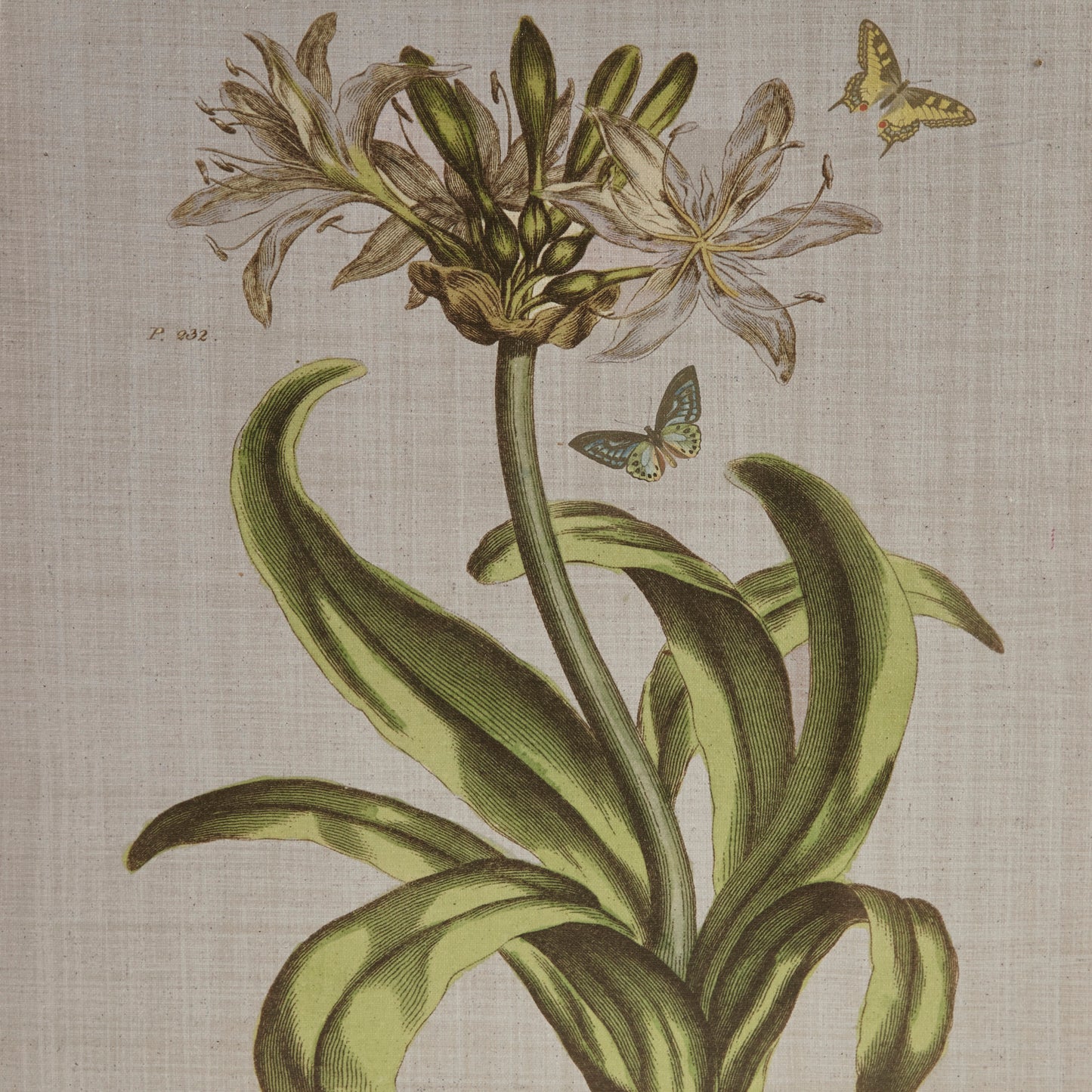 Madison Park 4-piece Botanical Illustration Framed Canvas Wall Art Set