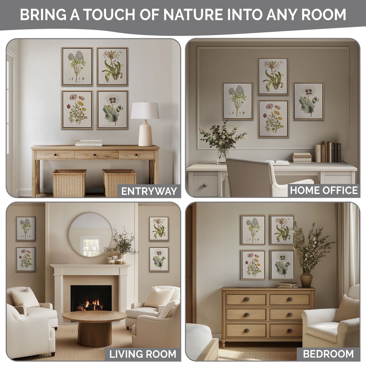 Madison Park 4-piece Botanical Illustration Framed Canvas Wall Art Set