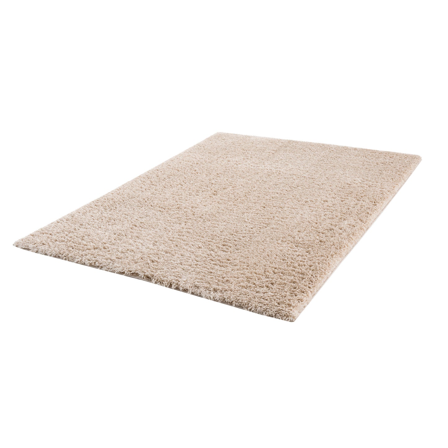 Camdyn Super Soft Polyester Shag Area Rug
