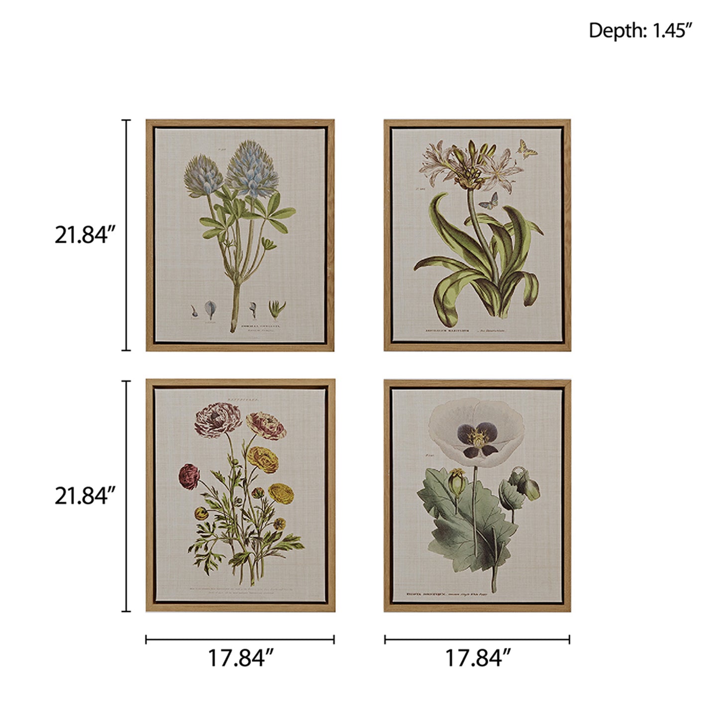 Madison Park 4-piece Botanical Illustration Framed Canvas Wall Art Set