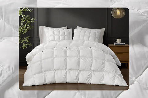 A Fresh Perspective on Bedroom Comfort and Bedding Style