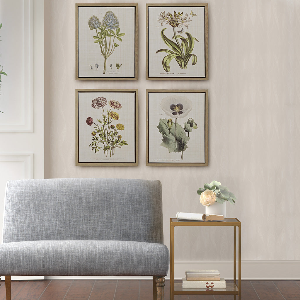 Madison Park 4-piece Botanical Illustration Framed Canvas Wall Art Set