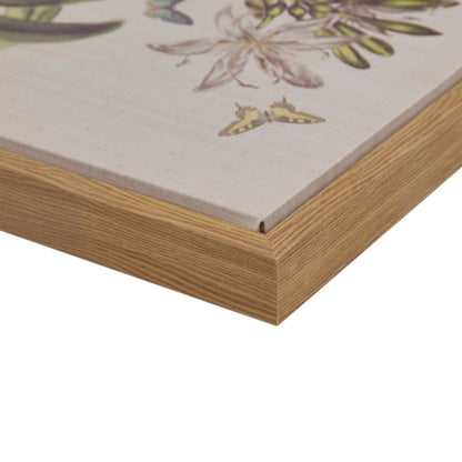Madison Park 4-piece Botanical Illustration Framed Canvas Wall Art Set