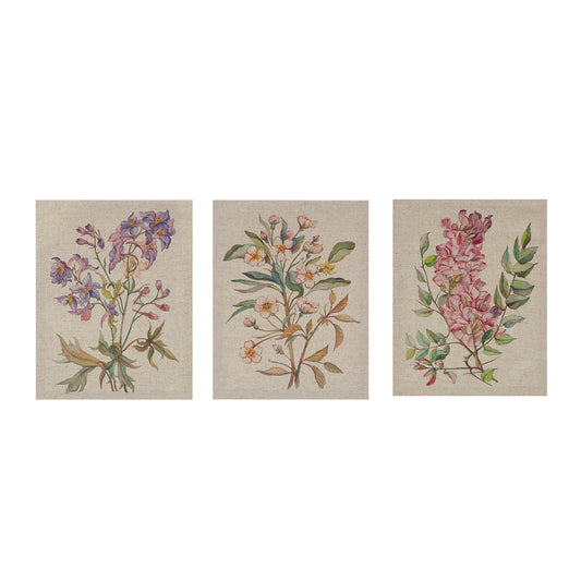 Madison Park Illustration 3-piece Canvas Wall Art Set