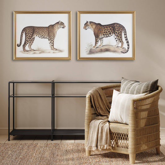 Madison Park Cheetah Framed Graphic Wall Decor 2 Piece set
