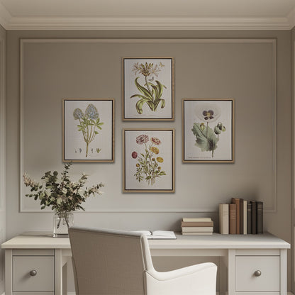 Madison Park 4-piece Botanical Illustration Framed Canvas Wall Art Set