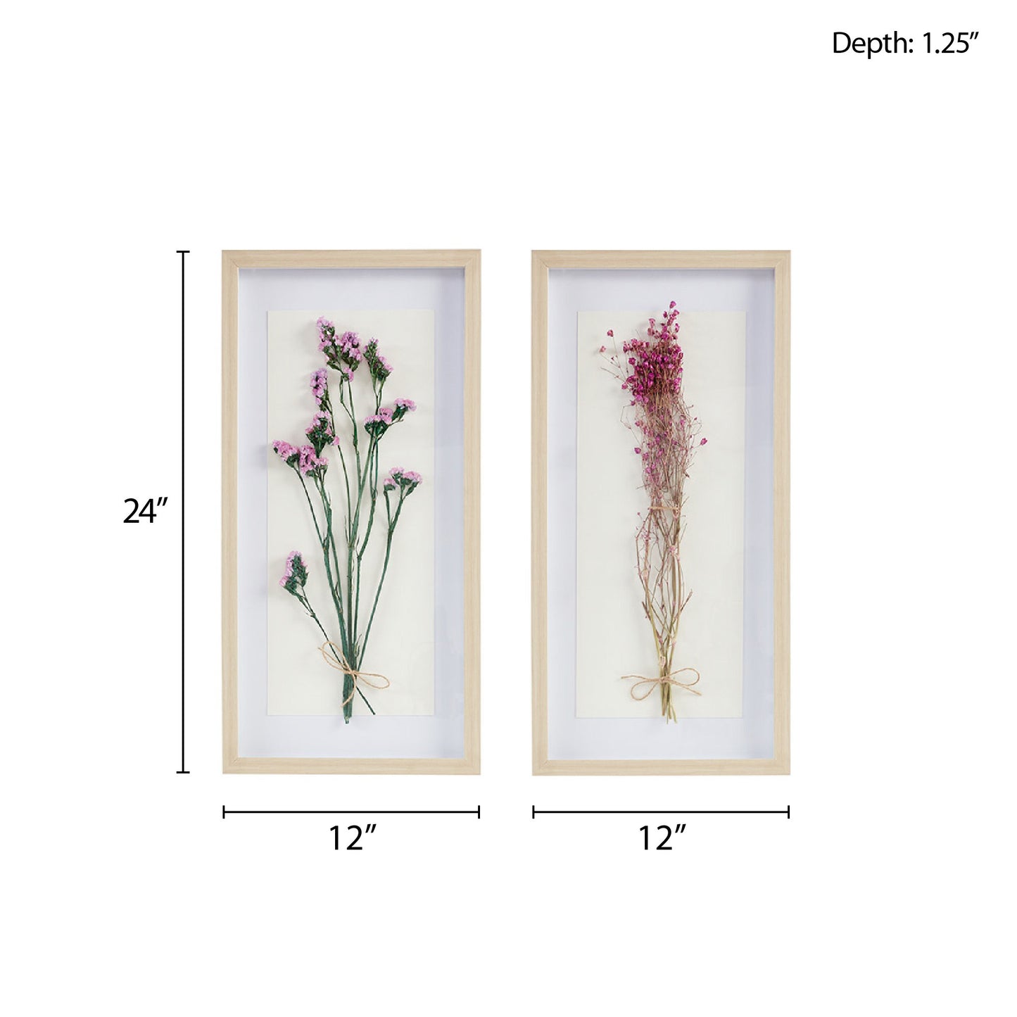 Madison Park Dried Flower 2-piece Shadow Box Wall Decor Set