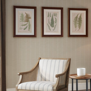 Lady Fern Collection Botanical Illustration 3-piece Framed Glass and Single Matted Wall Art Set