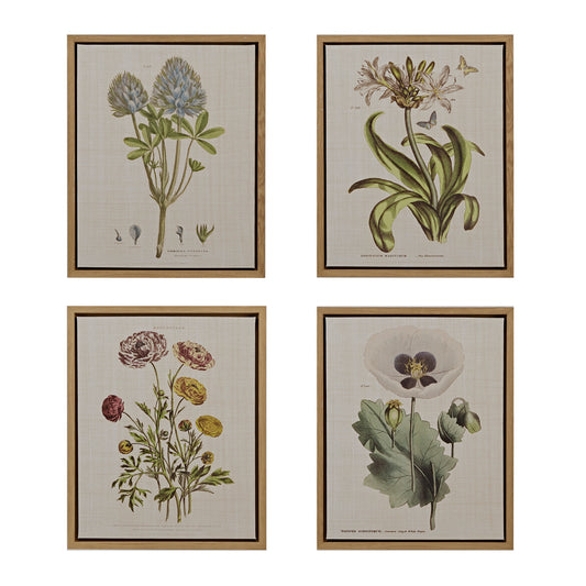 Madison Park 4-piece Botanical Illustration Framed Canvas Wall Art Set