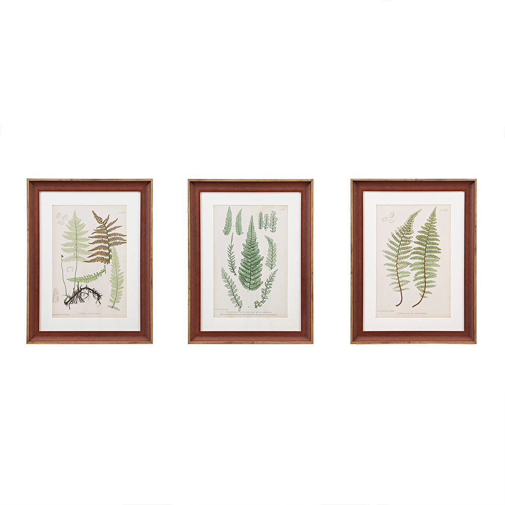 Madison Park Botanical Illustration 3-piece Framed Glass and Single Matted Wall Art Set