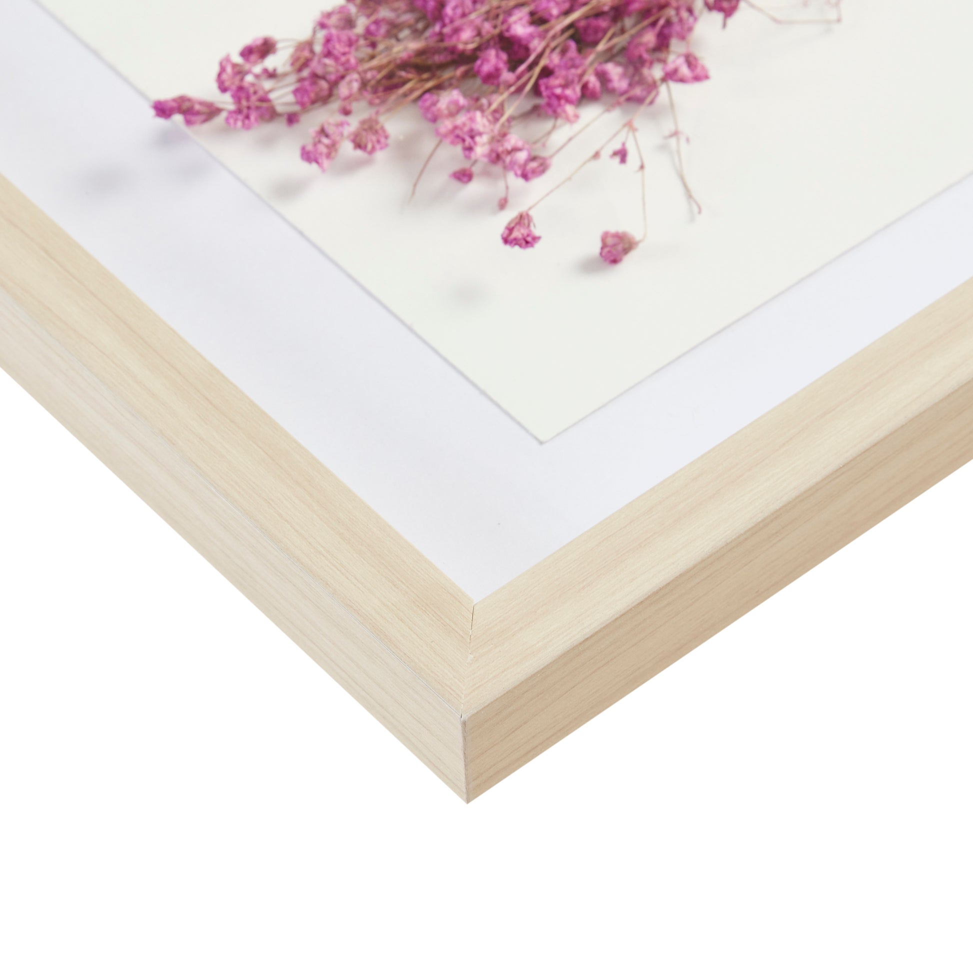 Madison Park Dried Flower 2-piece Shadow Box Wall Decor Set