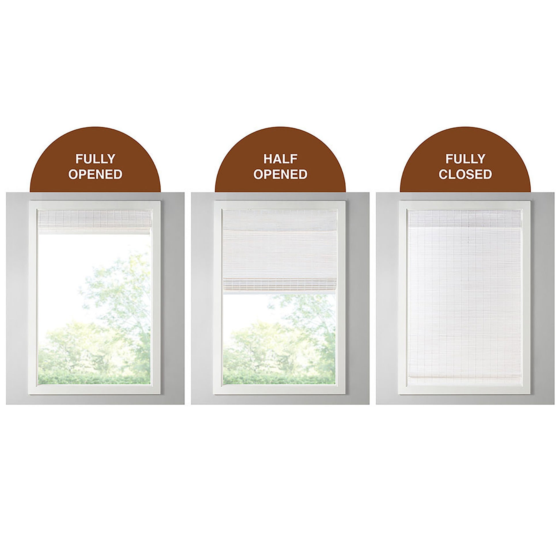 Madison Park Bamboo Light Filtering Roman Shade 64"L