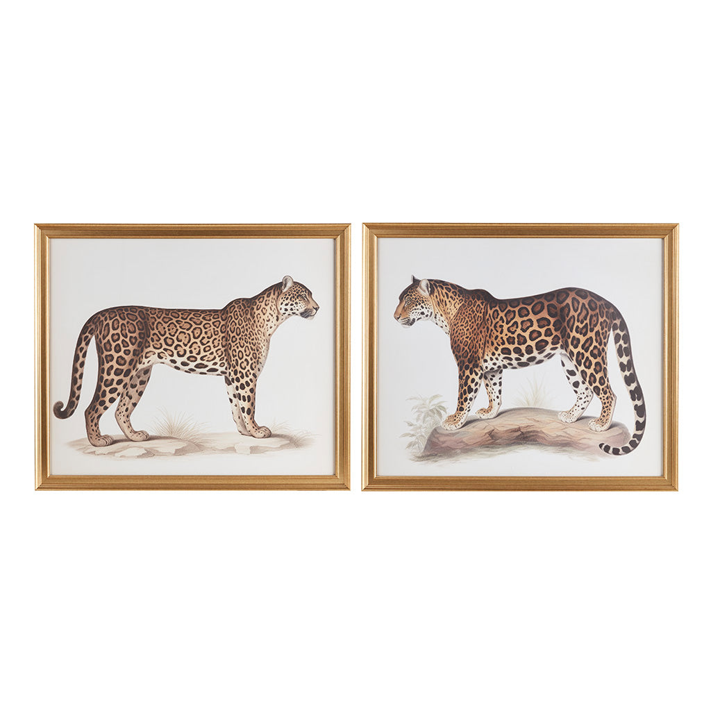 Madison Park Cheetah Framed Graphic Wall Decor 2 Piece set