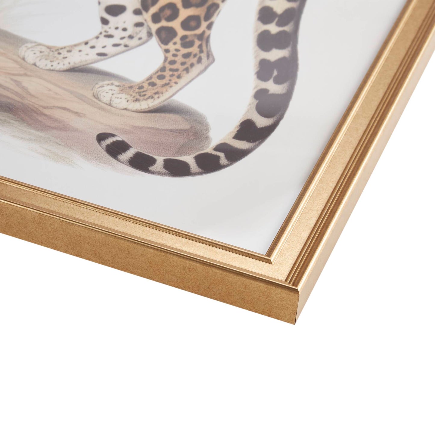 Madison Park Cheetah Framed Graphic Wall Decor 2 Piece set