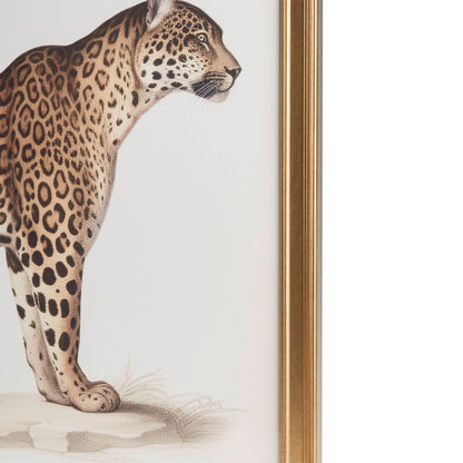 Madison Park Cheetah Framed Graphic Wall Decor 2 Piece set
