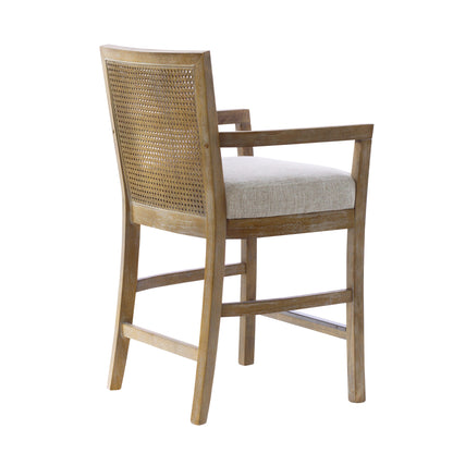 Madison Park Cane Back Counter Stool