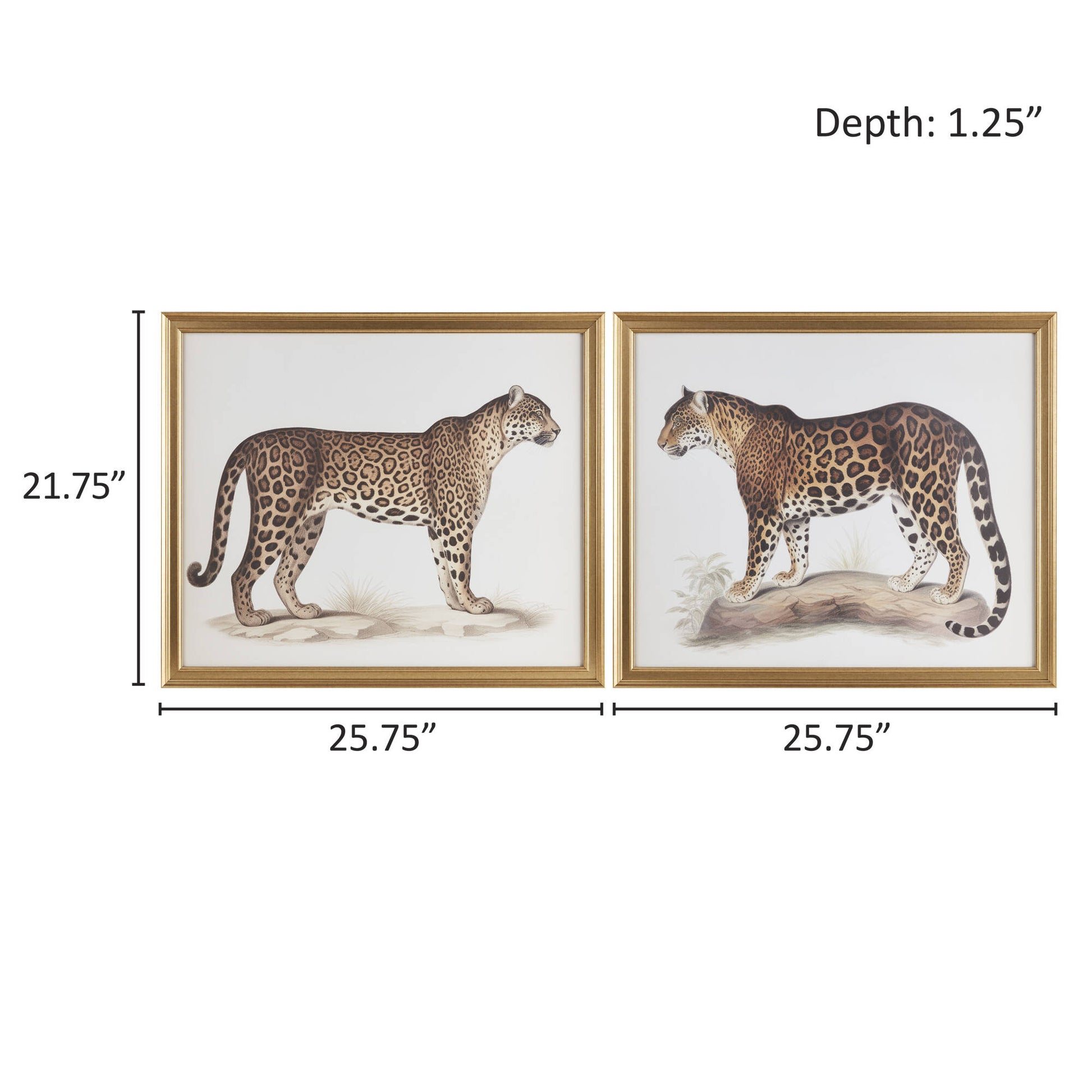 Madison Park Cheetah Framed Graphic Wall Decor 2 Piece set