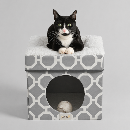 Taylor Cat Ottoman