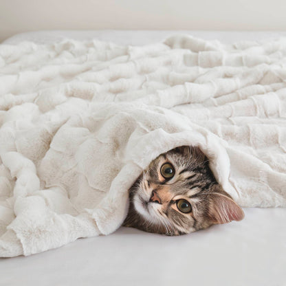 Vivienne Faux Fur Throw