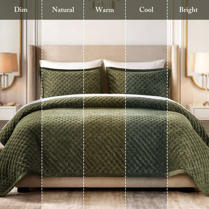Charleston Velvet Coverlet Mini Set