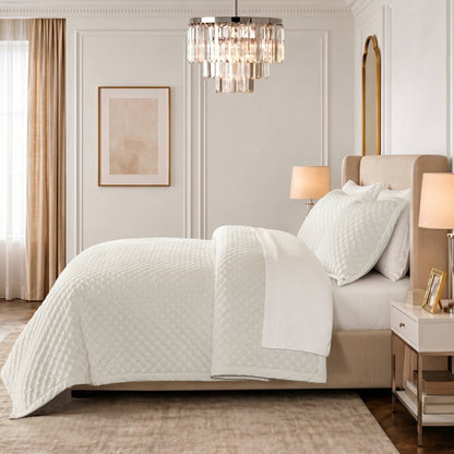 Charleston Velvet Coverlet Mini Set