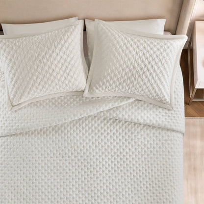 Charleston Velvet Coverlet Mini Set
