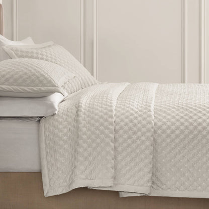 Charleston Velvet Coverlet Mini Set