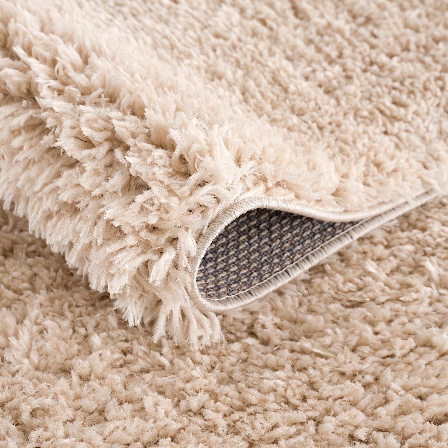 Camdyn Super Soft Polyester Shag Area Rug