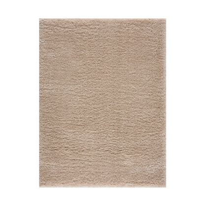 Camdyn Super Soft Polyester Shag Area Rug