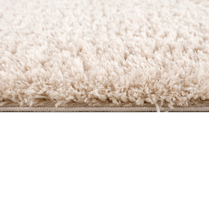 Camdyn Super Soft Polyester Shag Area Rug