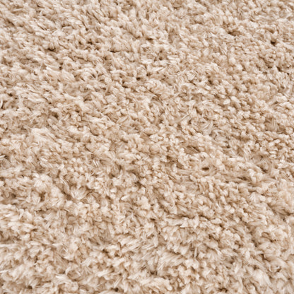 Camdyn Super Soft Polyester Shag Area Rug