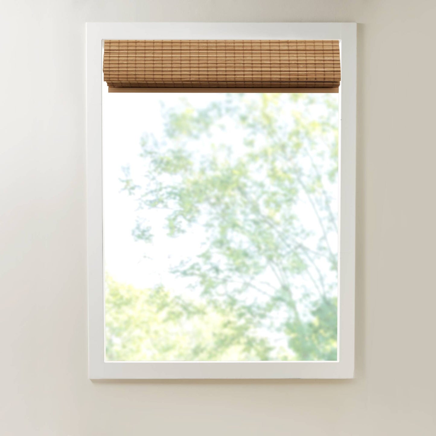 Eastfield Bamboo Light Filtering Roman Shade 64"L