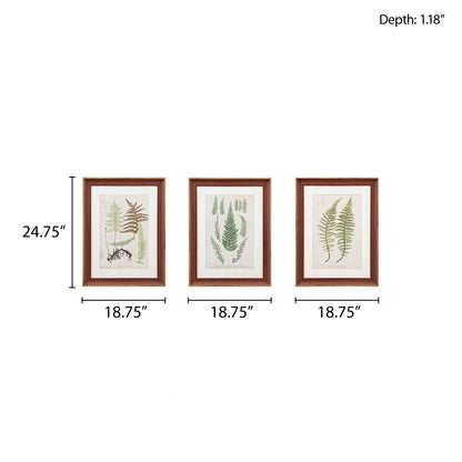 Lady Fern Collection Botanical Illustration 3-Piece Framed Glass and Single Matted Wall Art Set