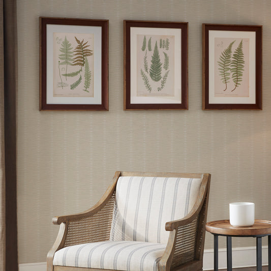 Lady Fern Collection Botanical Illustration 3-Piece Framed Glass and Single Matted Wall Art Set