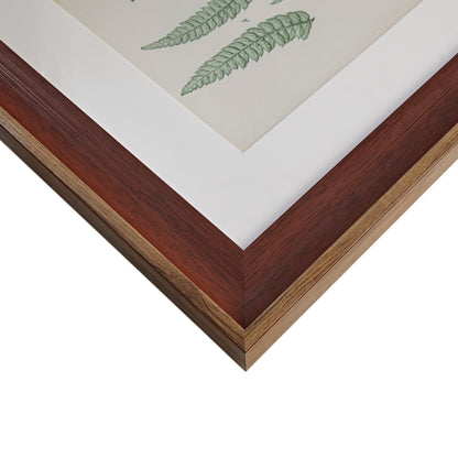 Lady Fern Collection Botanical Illustration 3-Piece Framed Glass and Single Matted Wall Art Set