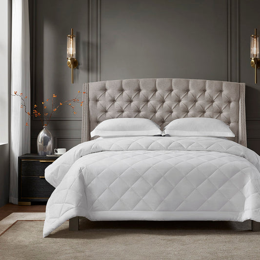 Hotel Collection Cotton Premium Antimicrobial Blanket