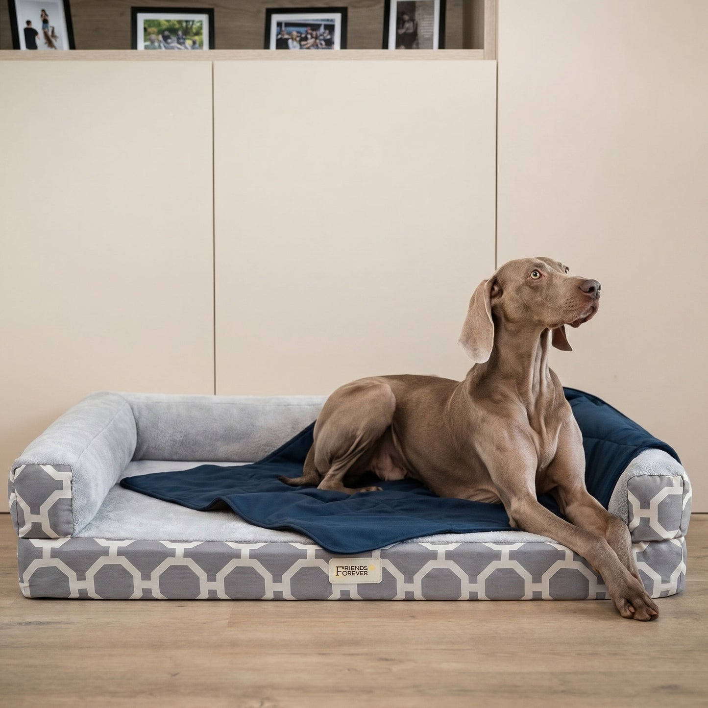 Harper Modern Couch