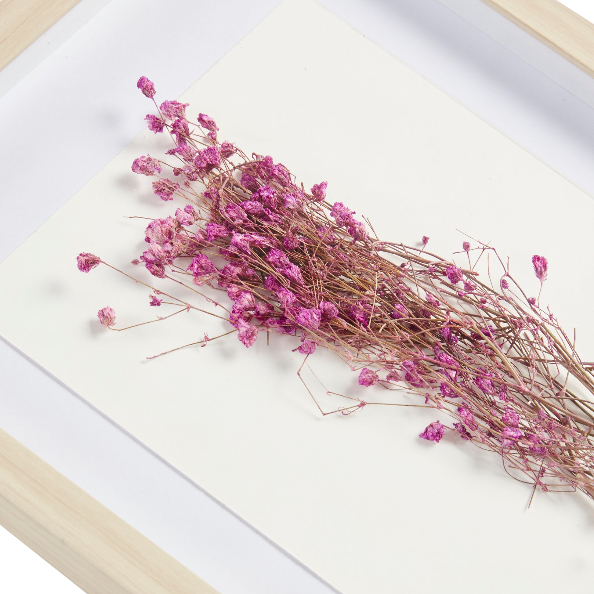 Madison Park Dried Flower 2-piece Shadow Box Wall Decor Set