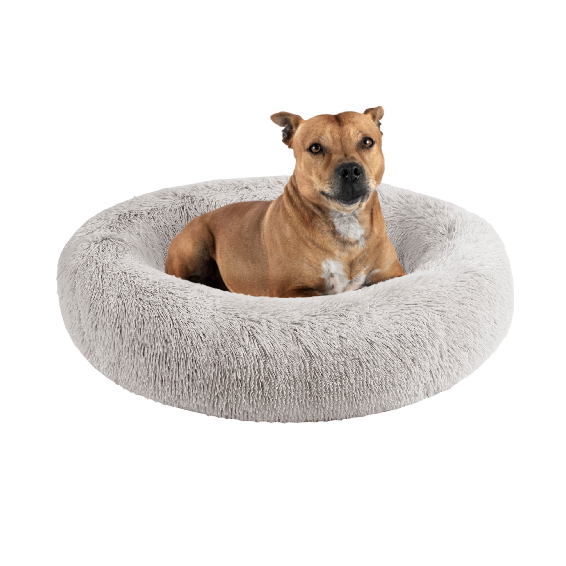 Madison Park Oval Bed