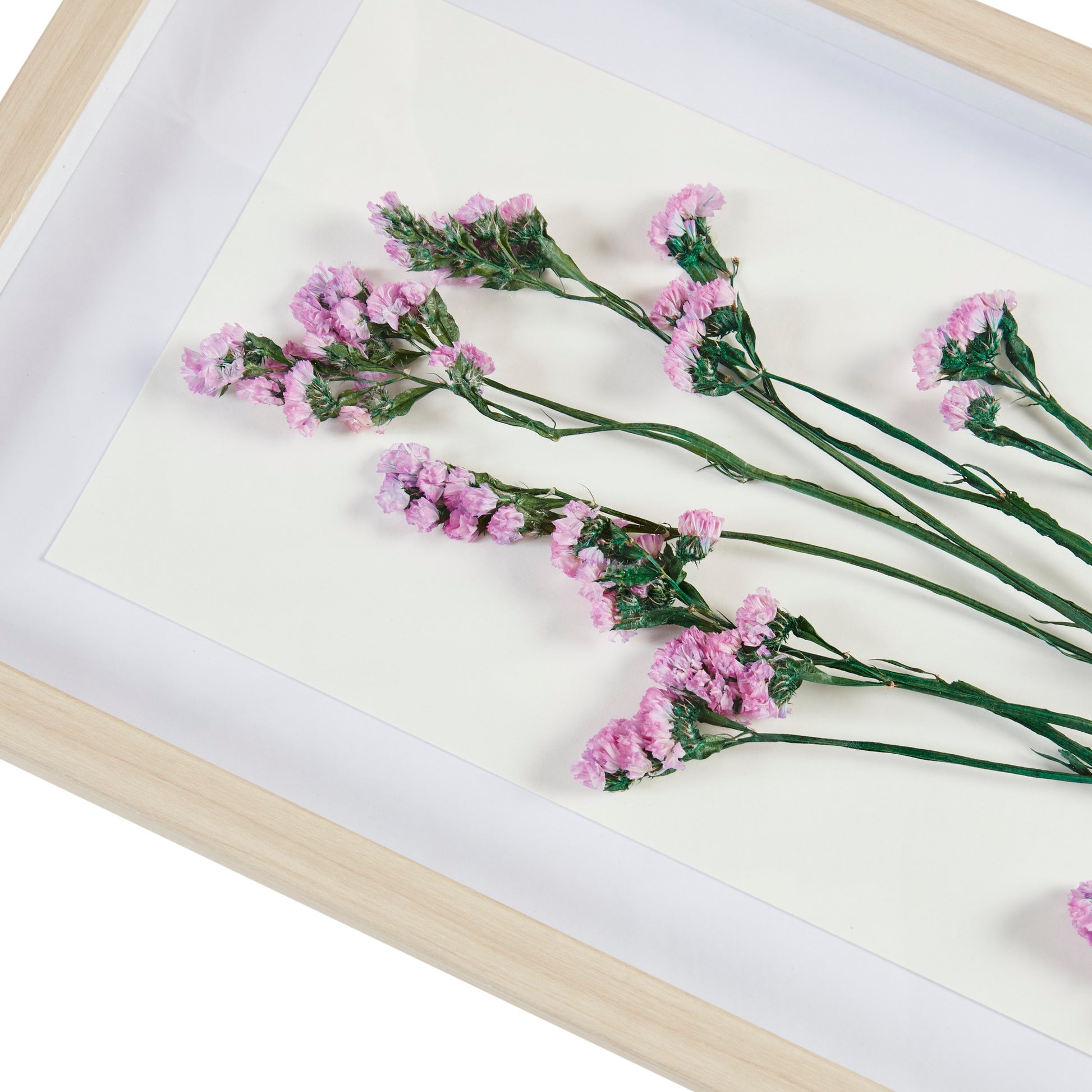 Madison Park Dried Flower 2-piece Shadow Box Wall Decor Set