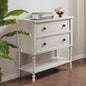 Madison Park Signature 2 Drawer Accent Chest