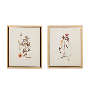 French Herbarium 2-piece Framed Canvas Wall Art Set