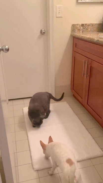 Marshmallow Plush Bath Rug